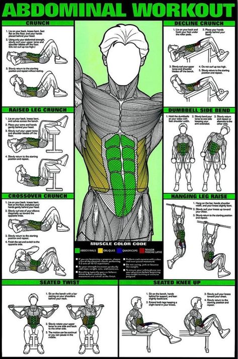 Abdominal Workout, Workout Gym Routine, Gym Workout Guide, Workout Program Gym, Gym Workout Plan For Women, Bodybuilding Workouts Routines, Best Gym Workout, Gym Workout Planner, Ab Workout Men