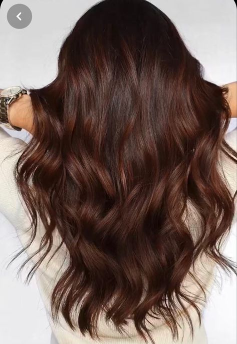 Dark Auburn Chocolate Hair, Red Tinged Brown Hair, Auburn Babylights On Brown Hair, Dark Brown Auburn Hair Balayage, Dark Auburn Hair Balayage, Dark Brown To Auburn Hair, Chocolate Brown Red Hair, Chocolate Red Brown Hair, Black Auburn Hair