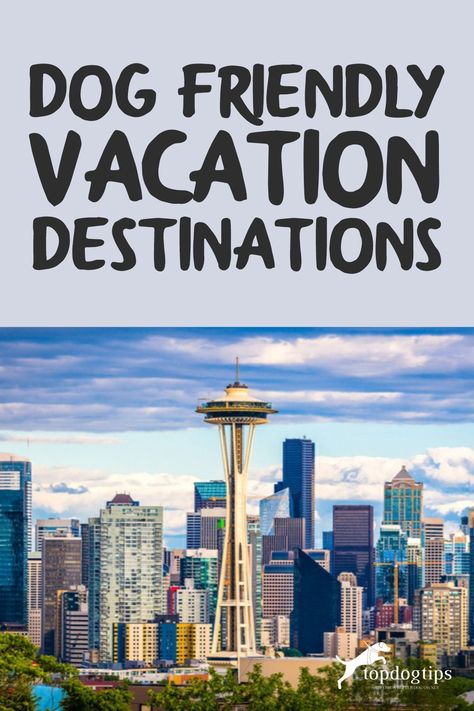 Vacation Destinations In The Us, Road Trip With Dog, Dog Friendly Vacation, Solo Vacation, Safe Trip, Pet Friendly Vacations, Dog Friendly Hotels, Theater Design, Vacation Locations