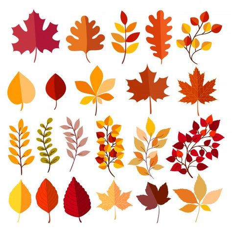 Autumn elements collection | Premium Vector #Freepik #vector #tree #leaf #cloud #thanksgiving Valentine Wallpapers, Autumn Elements, Illustration Elements, Leaf Illustration, Autumn Illustration, Autumn Flowers, Art Journal Therapy, Leaf Drawing, Fall Design