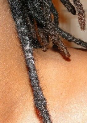 😍 HOW TO GET YOUR LOCS THICKER How To Start Dreadlocks, Locs Hair Care, Loc Tips, Dreadlocks Hair Care, Dreadlock Maintenance, Loc Hair Styles, Dreads Care, Lock Styles, Loc Maintenance