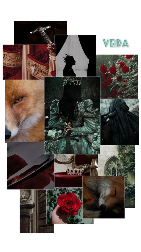 ESTJ 1w2 1-3-5 Capricorn Sun/Capricorn Moon/Leo Rising 1w2 Aesthetic, Sun Capricorn, Capricorn Sun, Leo Rising, Capricorn Moon, Aesthetic Moodboard, Mood Boards, Moon, Sun