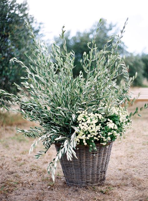 Olive Tree Wedding, Wild Floral Arrangements, Olive Wedding, בר מצווה, Tree Photography, Tree Wedding, Olive Branch, Olive Tree, Wedding Deco