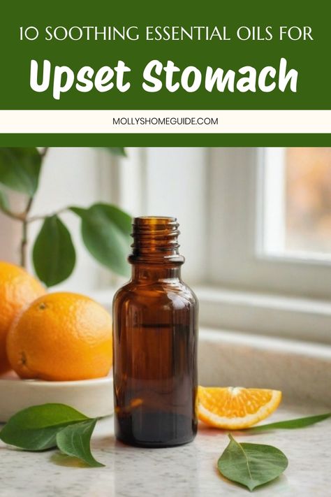 Explore the wonderful world of essential oils for upset stomach relief with this comprehensive guide. Discover the benefits of Peppermint and Ginger oils for tummy troubles, as well as how Frankincense and myrrh oil can aid digestion. Whether you're dealing with a stomach ache, nausea, or diarrhea, natural remedies are here to soothe your stomach issues. Essential Oils For Digestive Issues, Tummy Ache Remedy, Stomach Ache Relief, Upset Stomach Remedy, Stomach Relief, Benefits Of Peppermint, Stomach Ache Remedy, Stomach Remedies, Cardamom Essential Oil