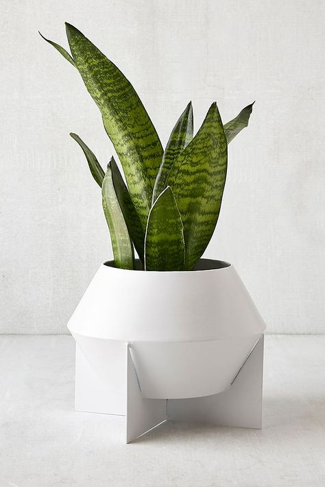 The Best Buys Under $30 From Urban Outfitter's Huge Home Sale — Deal of the Day Feng Shui Apartment, Unique Planter, Modern Planters, Metal Planters, Plant Shelves, Wall Art For Sale, Plant Pot, Plant Life, Indoor Planters