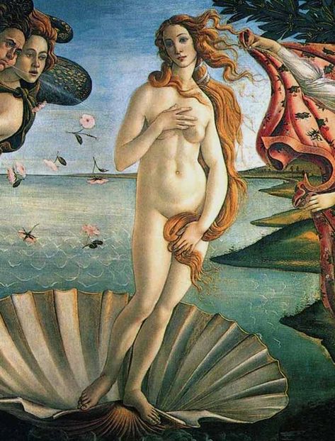 Aphrodite Art, Venus Tattoo, Aphrodite Goddess, Birth Of Venus, Sandro Botticelli, Goddess Of Love, Greek Art, Greek Goddess, Tempera