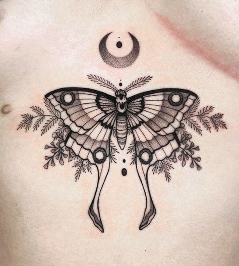 Girl Stomach Tattoos, Luna Moth Tattoo, Tatuaje Cover Up, Luna Tattoo, Moth Tattoo Design, Insect Tattoo, Chest Piece Tattoos, Moth Tattoo, Stomach Tattoos