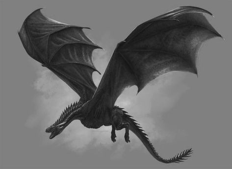 Dragon Rider Tattoo, Meleys Dragon Tattoo, Black Wyvern Art, Dragon Side View, Black Wyvern, Wyvern Art, Smaug Dragon, Drogon Game Of Thrones, Dragon Flying