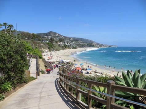 Treasure Island Beach Laguna Beach Tide Pools, Orange County Beaches, 42 Miles, Montage Laguna Beach, Dog Friendly Beach, California Beaches, Laguna Beach California, Beach Honeymoon, Seal Beach