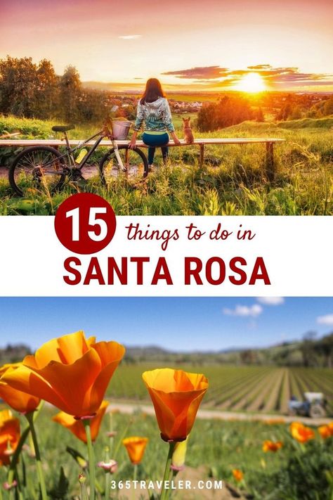 Santa Rosa, California is a place at the crossroads of history and nature. You'll find award-winning wineries, state parks, incredible views, outdoor recreation, and so much more. Here are 15 things to do in Santa Rosa that you can't miss! Things To Do In Santa Rosa California, Santa Rosa Wineries, California Getaways, Napa Trip, Lunch Places, Sonoma Wineries, California Winery, Santa Rosa California, Wine Country Travel