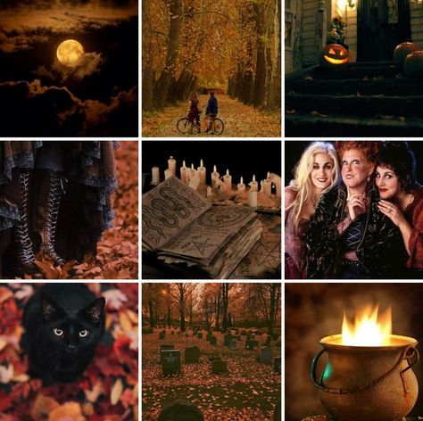 Hocus Pocus, films, moodboard, aesthetic, my edits, Halloween Moodboard Aesthetic, Hocus Pocus, Mood Boards, Science Fiction, Witch, Collage, Film, Halloween, Movie Posters