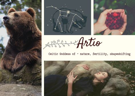 Artio bear goddess aesthetic berries woman big ursa Artio Goddess Celtic, Bear Mythology, Gaulish Gods, Artio Bear Goddess, Aesthetic Berries, Bear Goddess, Tlk Oc, Goddess Taurus, Deer Woman