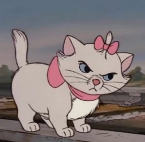 Winter Blanco, Marie The Aristocats, The Aristocats, Fun Facts, Follow Me, Instagram Photos, Pink, On Instagram, Instagram