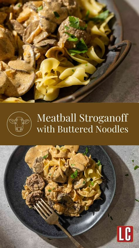 Beef Stroganoff With Meatballs Easy Recipes, Stroganoff Recipe With Meatballs, Chicken Meatball Stroganoff Recipe, Meatball Stroganoff Cream Of Mushroom, Meatballs In Creamy Mushroom Sauce, Meatball Stroganoff, Ground Beef Meatballs, Creamy Mushroom Sauce, Buttered Noodles