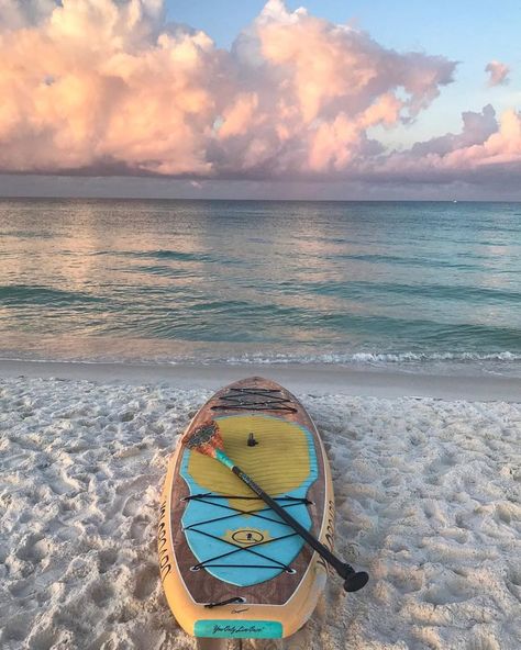 The Best Beaches on the Gulf Coast of Florida | Beautiful beaches, Gulf coast beaches, Florida gulf coast beaches Florida Gulf Coast Beaches, Gulf Coast Beaches, Beach Pink, Gulf Coast Florida, Coastal Lifestyle, Its Beautiful, Beach Beauty, Beach Lifestyle, Gulf Coast