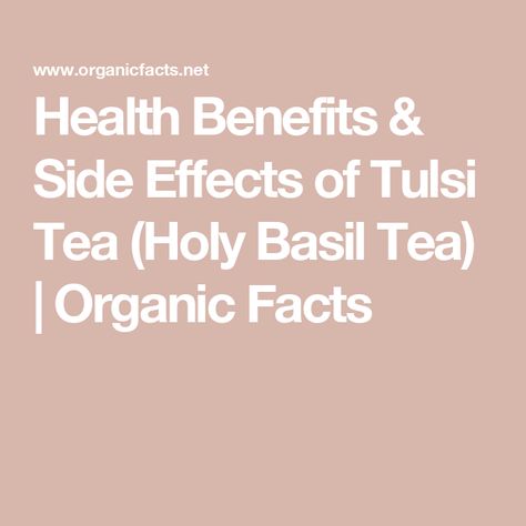 Health Benefits & Side Effects of Tulsi Tea (Holy Basil Tea) | Organic Facts Benefits Of Tulsi Tea, Holy Basil Tea Benefits, Holy Basil Benefits Health, Tulsi Benefits, Holy Basil Benefits, Holy Basil Tea, Basil Tea, Tulsi Tea, Tea Health Benefits