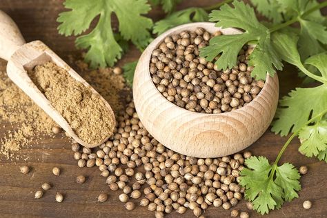 Coriander Benefits, Seeds Pictures, Coriander Essential Oil, Gin Botanicals, Coriander Oil, Water Retention Remedies, Remedies For Skin, Asam Jawa, Edible Seeds