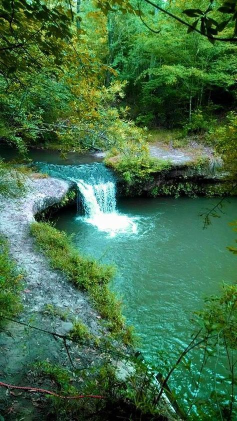 ❅"It is joint creation between man's intention to create a space of tranquillity and nature's ability to comply"❅. Mississippi Nature, Mississippi Travel, Success Goals, American Road Trip, Beautiful Waterfalls, Vacation Places, Green Trees, Hidden Treasures, Oh The Places Youll Go