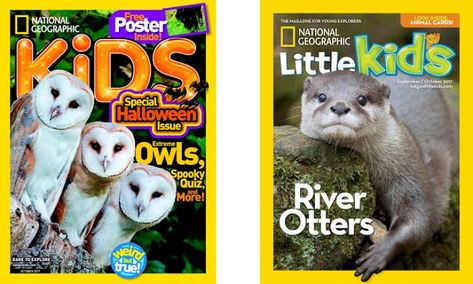 JustAddCoffee- The Homeschool Coupon Mom : (Save 72%) National Geographic Kids Magazine National Geographic Kids Magazine, Subscriptions For Kids, Kids Magazine, Global Awareness, National Geographic Kids, National Animal, Curious Kids, Engage Kids, National Geographic Magazine