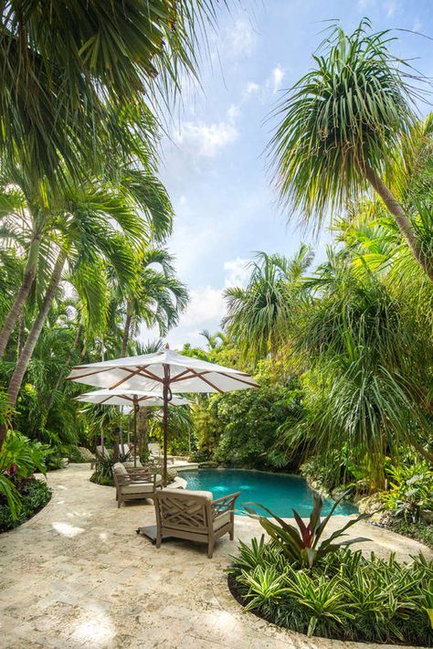 License to Chill - Gardenista Tropical Pool Landscaping, Tropical Backyard Landscaping, Tropical Landscape Design, Taman Air, Florida Landscaping, Tropical Garden Design, Tropical Backyard, Tropical Pool, Garden Wallpaper