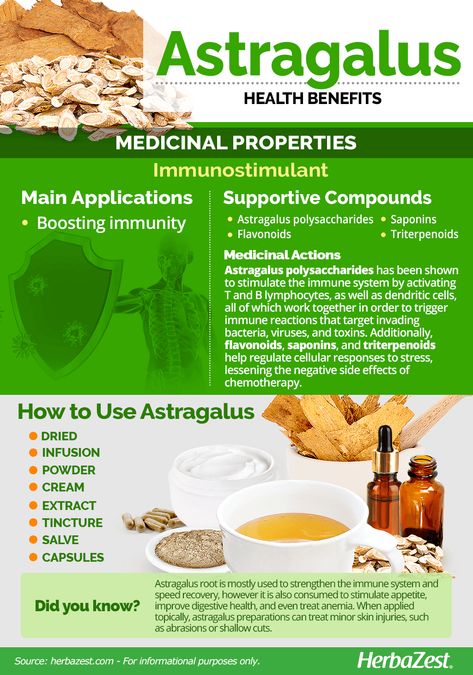 Astragalus | HerbaZest Astralagus Root Benefits, Astragalus Benefits, Immune Cells, Astragalus Root, Plant Medicine, Chinese Herbs, Natural Healing Remedies, Holistic Medicine, Traditional Medicine