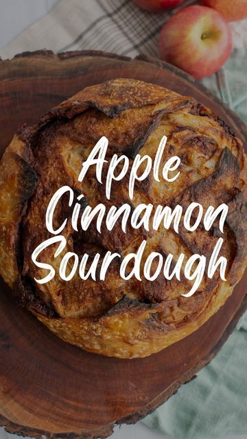 Amy Coyne | Sourdough recipes & help with your bakes on Instagram: "This apple cinnamon sourdough bread will be on REPEAT at my house this fall! We’ve had a cold snap the last few mornings and I’ve taken it as my cue to start sharing my favorite fall-inspired recipes, starting with this apple cinnamon sourdough loaf. Soft and tender, the apples melt into the crumb of this bread giving a hint of mild, sweet apple flavor that pairs so nicely with the ribbons of cinnamon sugar. Whether you enjoy it for breakfast or a snack, you’re going to love this sourdough bread.  Grab the recipe on my website: https://amybakesbread.com/apple-cinnamon-sourdough-bread/ (link in profile) or comment “APPLE” and I’ll send it to you.  Share this recipe with a friend and follow for more delicious sourdough recip Cinnamon Sourdough Bread, Cinnamon Sourdough, Sourdough Loaf, Starter Recipes, Sourdough Starter Recipe, Apple Bread, Sour Dough, Sourdough Discard, Sourdough Bread Recipe