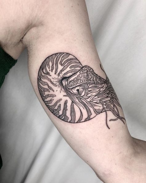 Chambered nautilus from last night! . . . . . #chamberednautilus #nautilustattoo #woodcuttattoo #engravingtattoo #etchingtattoo…