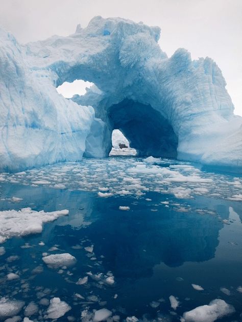 South Pole, Antarctica, found on twitter.com South Pole Antarctica, Largest Whale, Snow And Ice, South Pole, Planet Earth, Natural Wonders, Beautiful World, Wonders Of The World, Beautiful Nature