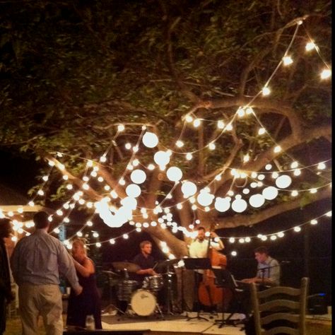 Adam &Ivy's rustic outdoor DIY wedding. The jazz band made the night. Rustic Outdoor Wedding Ideas, Live Band Wedding, Diy Wedding Lighting, Jazz Wedding, Outdoor Wedding Lighting, Jazz Party, Outdoor Wedding Ideas, Diy Outdoor Weddings, Lights Wedding Decor