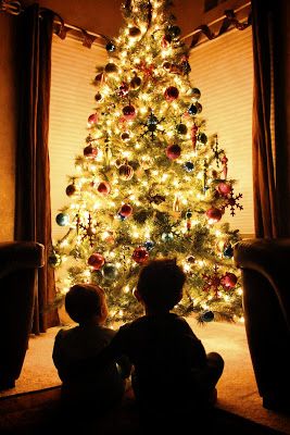 Taking the perfect picture infront of the tree Kids Christmas Trees, Christmas Instagram Pictures, Christmas Tree Photography, Christmas Baby Pictures, Christmas Poses, Christmas Tree Pictures, Christmas Tree With Presents, Baby Christmas Photos, Christmas Trees For Kids