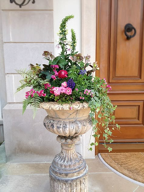 Spring Planter, Porch Flowers, Container Garden Design, Container Planting, Garden Urns, Container Gardening Flowers, Indoor Flowers, Outdoor Flowers, Garden Containers