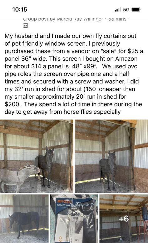 Farm Hacks Horse, Horse Turnout Ideas, Animal Barn Ideas, Goat Barn Layout, Horse Barn Hacks, Cattle Housing, Livestock Shelter, Farm Hacks, Horse Farm Ideas