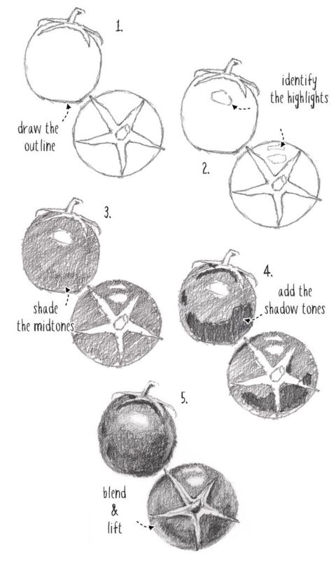 Drawing Step By Step Easy, Easy Realistic Drawings, Any Drawing, Drawing Step By Step, Realistic Drawing, Drawing Step, Pencil Drawings Easy, Your Drawing, Watercolor Projects