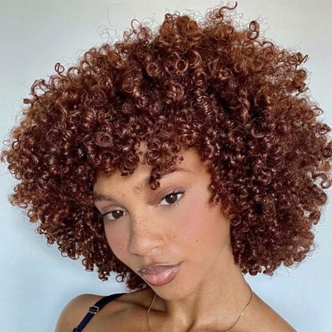 Brown Color Jerry Curly Human Hair Wigs With Bangs Wear To Go Wig Remy Brazilian Human Hair Wig Short Curly Peekaboo Hair, 4b Hair Color Ideas, Short Curly Ginger Hair Black Women, Auburn Hair Color On Black Women Natural, Honey Brown Afro, Copper Curly Hair Black Women, Auburn Natural Hair, Brown Ginger Hair Black Women, Dark Ginger Curly Hair