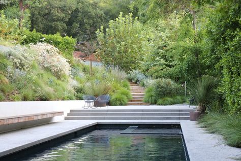 Marmol Radziner, Poolside Lounge, Luxe Interiors, Lounge Area, Interiors Design, Garden Pool, Modern Landscaping, Pool Deck, Outdoor Landscaping