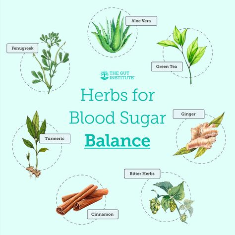 🌿 Discover the natural way to maintain healthy blood sugar levels! 🌡️  Embrace the power of nature with herbs like Fenugreek, Turmeric, Aloe Vera, and Green Tea, known for their blood sugar balancing properties. Enhance your well-being with the goodness of Ginger, Cinnamon, and Bitter Herbs. 🍃 Are you ready to incorporate these incredible herbs into your daily routine for a healthier you? Let us know which one you're most excited to try!  #BloodSugarBalance #NaturalRemedies #HerbalWellness Blood Sugar Balance, Herbal Education, Medicinal Herbs Garden, Medical Herbs, Blood Sugar Diet, Herbal Apothecary, Turmeric Tea, Natural Healing Remedies, Herbal Healing