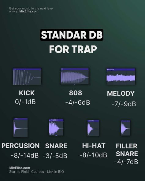 Free Mixing Crash Course 👉 MixElite.com/free-course ⁠ Today you are getting to know the standar dB for Trap tracks!⁠ ⁠ ⁠ #MixElite #studiosetup#tutorial#trapmusic #harmony#flstudiotips#flstudio#flstudio20#flstudiogang#housemusic#trap#hiphop#producing#beats#sounddesign#studio#studiosession#musicproduction#producingmusic#production #deephouse#mastering Fl Studio Aesthetic, Fl Studio Tips, Music Hacks, Bottles Decoration Wedding, Music Basics, Music Tools, Music Engineers, Audio Engineering, Music Theory Lessons