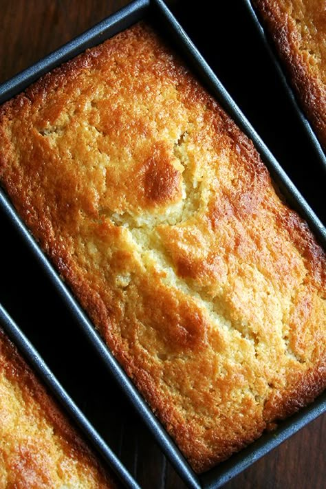 orange-ricotta loaves, just baked Ricotta Pound Cake, Orange Ricotta, Giada De Laurentiis Recipes, Homemade Pudding, Ricotta Cake, Pound Cake Recipe, Torte Cupcake, Giada De Laurentiis, Loaf Cake