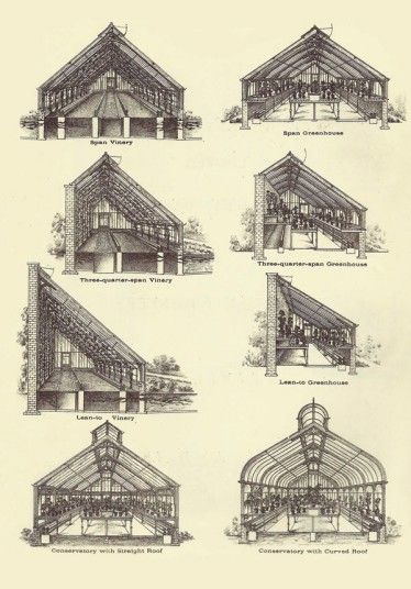 Glasshouses: a history in pictures - Telegraph Orangery Conservatory, Victorian Greenhouse, Victorian Greenhouses, Diy Greenhouse Plans, Green House Design, Lean To Greenhouse, Build A Greenhouse, Greenhouse Interiors, Backyard Greenhouse