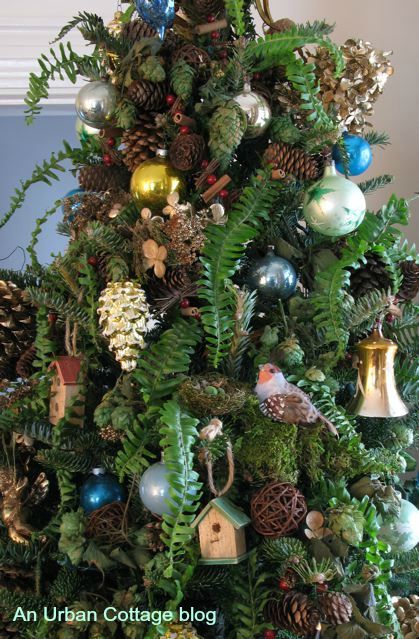 Fern Christmas Tree, Forest Fairy Christmas Tree, Woodland Christmas Tree Toper, Nobel Fir Christmas Tree, Renovating An Old House, Fern Christmas, Woodland Christmas Theme, Darryl Carter, Marblehead Massachusetts