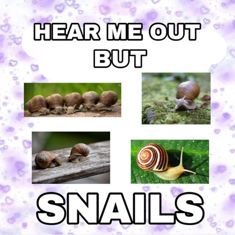 Snail Aesthetic, Cute Snail, Aesthetic Snail, Snail Cottagecore, Frog Riding Snail, Snail Eating, Snail Facts, Snail Species, Pet Snails