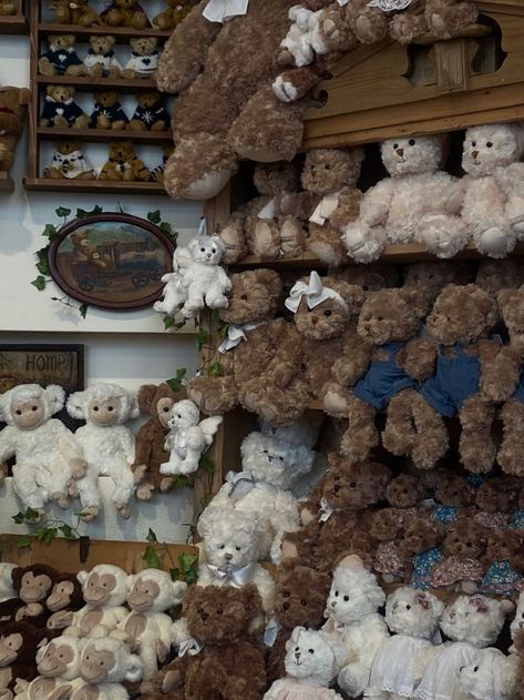 Dream Aesthetic, Cute Stuffed Animals, Brown Aesthetic, Cute Plush, Girls Dream, Soft Toys, Cutie Patootie, Teddy Bears, Soft Toy