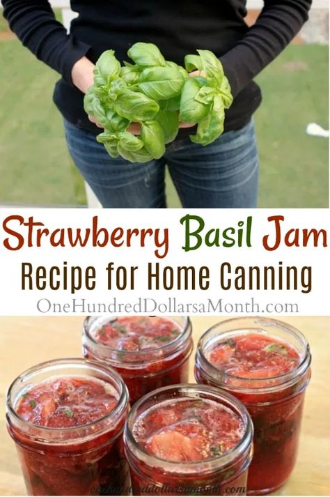 Strawberry Basil Jam Recipe, Basil Jam Recipe, Strawberry Basil Jam, Basil Jam, Hot Water Bath Canning, Canning 101, Strawberry Jam Recipe, Strawberry Basil, Canning Jam