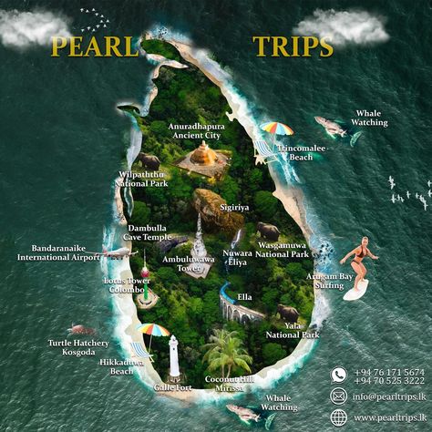 🌴✨Discover the wonders of Sri Lanka with Pearl Trips! 🌴✨ From the ancient city of Anuradhapura and the majestic Sigiriya rock fortress to the pristine beaches of Trincomalee and the surfing paradise of Arugam Bay, this island nation offers a breathtaking blend of history, culture, and adventure. 🌊🐘 Join us on an unforgettable journey where you can explore the rich wildlife at Yala and Wilpattu National Parks, marvel at the beauty of Nuwara Eliya and Ella, and unwind at the tranquil Hikkaduwa... Arugam Bay Sri Lanka, Arugam Bay, Yala National Park Sri Lanka, Arugam Bay Sri Lanka Surfing, Sri Lanka Hikkaduwa, Adam’s Peak Sri Lanka, Nuwara Eliya, Idalgashinna Sri Lanka, Whale Watching