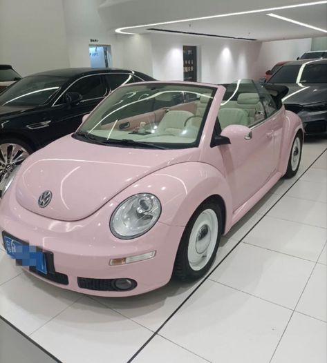 Pink Volkswagen Beetle, Pink Seat Covers, Pink Beetle, Pink Window, Vw Beetle Convertible, Pink Cars, Volkswagen Beetle Convertible, Pink Convertible, Bug Car