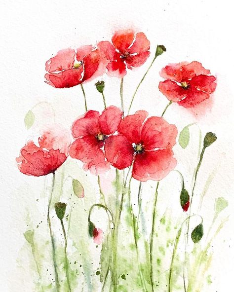 Orchids Watercolor, Abstract Watercolor Flower, Loose Watercolor Flowers, Poppy Drawing, Whimsical Art Paintings, Watercolor Art Diy, Watercolor Blog, Watercolor Art Journal, Watercolor Postcard