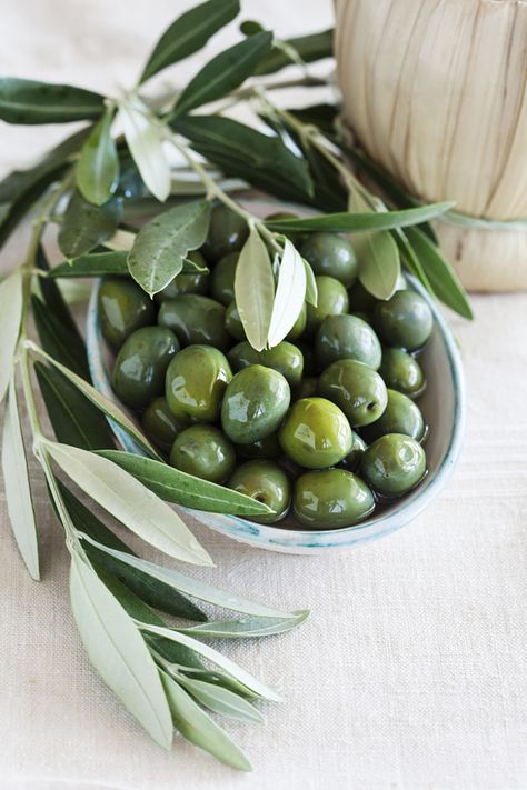 Olive Gardens, Green Olives, Menorca, Olive Tree, Fruits And Veggies, A Bowl, Food Styling, Food Photo, Fruits And Vegetables