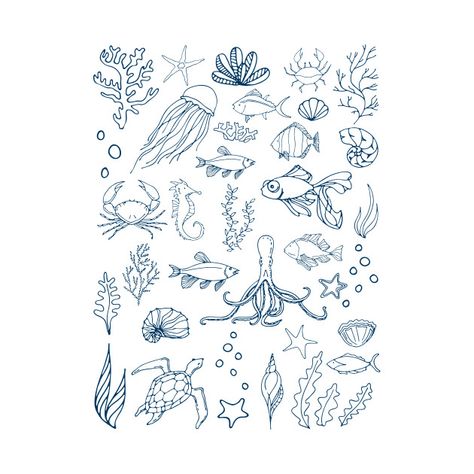 Aquatic Art Drawings, Line Art Sea Animals, Marine Creatures Drawing, Ocean Animal Sketches, Aquatic Sketches, Aquatic Animal Tattoos, Water Animal Drawing, Aquatic Doodles, Aquatic Animals Drawing