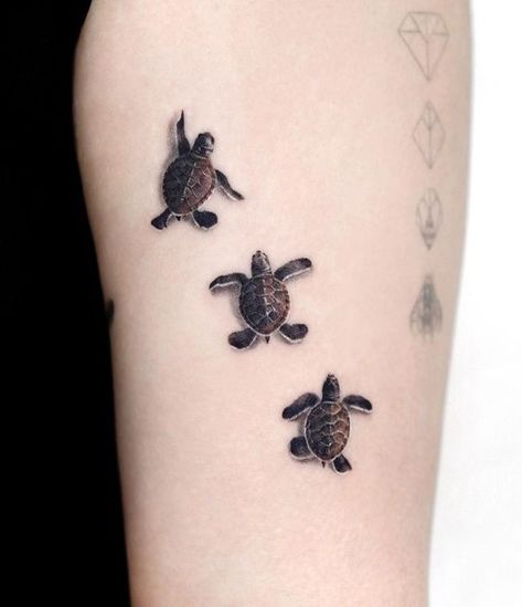 Three Turtles Tattoo, Cute Sea Turtle Tattoo, Baby Turtle Tattoo, Small Sea Turtle Tattoo, Ocean Animal Tattoos, Cute Turtle Tattoo, Turtles Tattoo, Turtle Tattoo Ideas, Small Turtle Tattoo