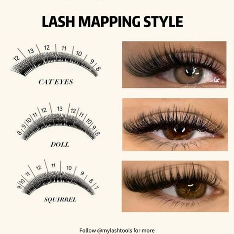 False Lashes Makeup, Eyelashes Tutorial, Lash Maps, Lash Map, Lash Tips, Lash Mapping, Lashes Tutorial, Lashes Fake Eyelashes, Lash Tweezers